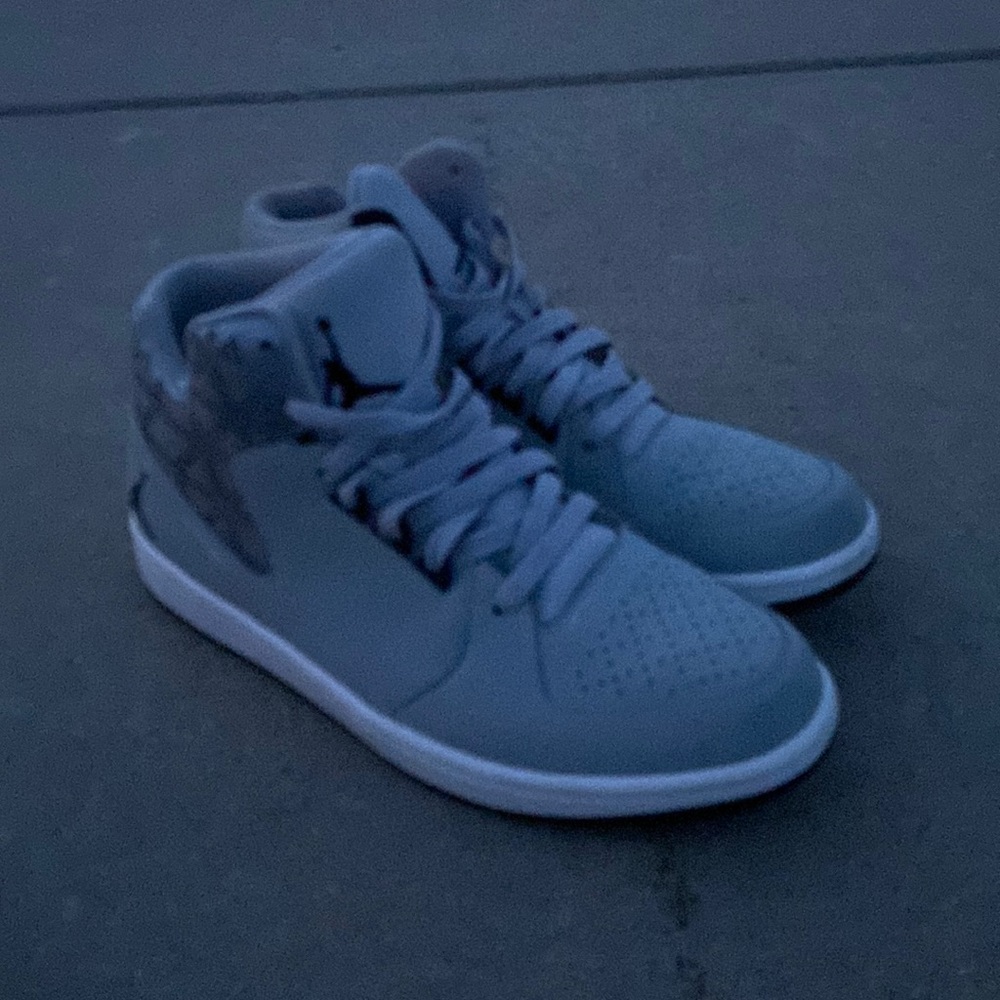 Jordan 1 flight 3 cool grey